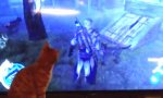 Lustiges Video : Katze vs Assassins Creed