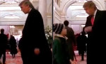 Lustiges Video : Trump allein zu Haus