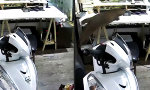 Funny Video : Katze vs Porzellankatze