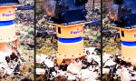 Lustiges Video : Baumstumpf-Killermaschine