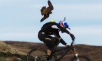 Falke vs Mountainbike