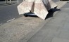 Fun Pic - Donnerstags Fun PicDump #8 - 14