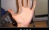 Fun Pic - Donnerstags Fun PicDump #8 - 62