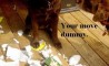 Fun Pic - Donnerstags Fun PicDump #13 - 10