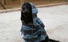 Fun Pic - Donnerstags Fun PicDump #13 - 82