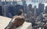 Fun Pic - Donnerstags Fun PicDump #16 - 12