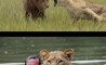 Fun Pic - Donnerstags Fun PicDump #24 - 44