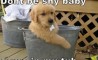 Fun Pic - Donnerstags Fun PicDump #24 - 56