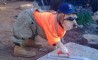Fun Pic - Donnerstags Fun PicDump #36 - 120