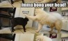 Fun Pic - Donnerstags Fun PicDump #36 - 56