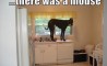Fun Pic - Donnerstags Fun PicDump #45 - 13