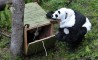 Fun Pic - Donnerstags Fun PicDump #45 - 29