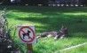 Fun Pic - Donnerstags Fun PicDump #45 - 73