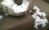 Fun Pic - Donnerstags Fun PicDump #60 - 79