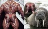 Fun Pic - Donnerstags Fun PicDump #60 - 95