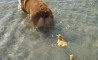 Fun Pic - Donnerstags Fun PicDump #75 - 104