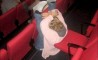 Fun Pic - Donnerstags Fun PicDump #75 - 96