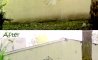 Fun Pic - Donnerstags Fun PicDump #92 - 80