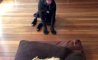 Fun Pic - Donnerstags Fun PicDump #93 - 109