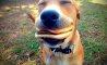 Fun Pic - Donnerstags Fun PicDump #93 - 113