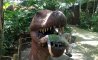 Fun Pic - Donnerstags Fun PicDump #94 - 18