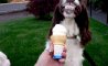 Fun Pic - Donnerstags Fun PicDump #94 - 98