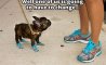 Fun Pic - Donnerstags Fun PicDump #102 - 64