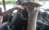 Fun Pic - Donnerstags Fun PicDump #107 - 118