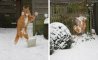 Fun Pic - Donnerstags Fun PicDump #107 - 30