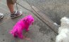Fun Pic - Donnerstags Fun PicDump #108 - 65