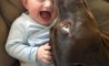 Fun Pic - Donnerstags Fun PicDump #112 - 41