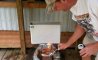 Fun Pic - Donnerstags Fun PicDump #113 - 19