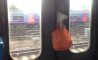 Fun Pic - Donnerstags Fun PicDump #117 - 30
