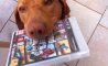 Fun Pic - Donnerstags Fun PicDump #117 - 50