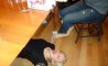 Fun Pic - Donnerstags Fun PicDump #117 - 66
