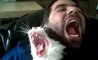 Fun Pic - Donnerstags Fun PicDump #117 - 76