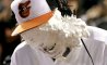 Fun Pic - Donnerstags Fun PicDump #117 - 8