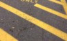 Fun Pic - Donnerstags Fun PicDump #118 - 15
