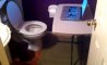 Fun Pic - Donnerstags Fun PicDump #118 - 23