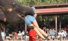 Fun Pic - Donnerstags Fun PicDump #124 - 120