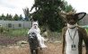 Fun Pic - Donnerstags Fun PicDump #124 - 28