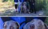 Fun Pic - Donnerstags Fun PicDump #124 - 48