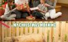 Fun Pic - Donnerstags Fun PicDump #129 - 83