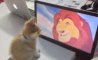 Fun Pic - Donnerstags Fun PicDump #129 - 87