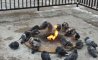 Fun Pic - Donnerstags Fun PicDump #131 - 120