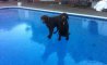 Fun Pic - Donnerstags Fun PicDump #131 - 32