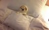 Fun Pic - Donnerstags Fun PicDump #131 - 40