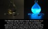 Fun Pic - Donnerstags Fun PicDump #131 - 88