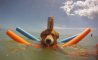 Fun Pic - Donnerstags Fun PicDump #132 - 102