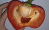 Fun Pic - Donnerstags Fun PicDump #132 - 18